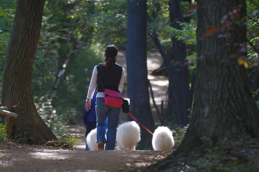 【街角（外れ）スナップ】愛犬散歩