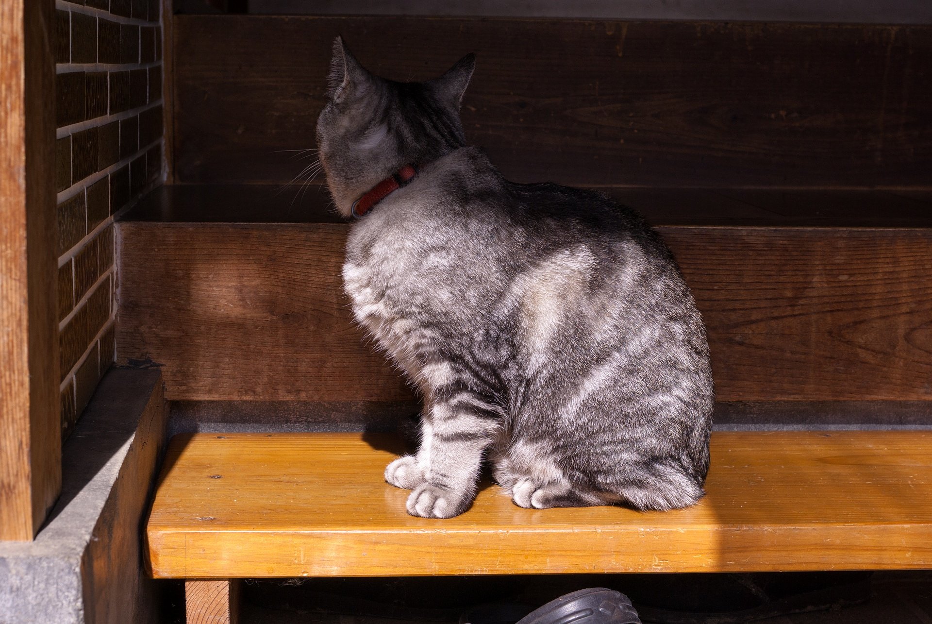 日向ぼっこ。