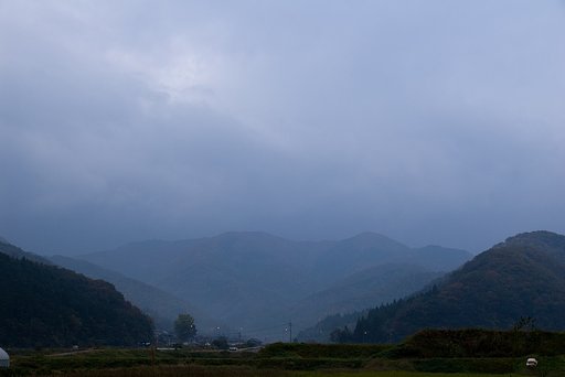 霧雨の朝・・。