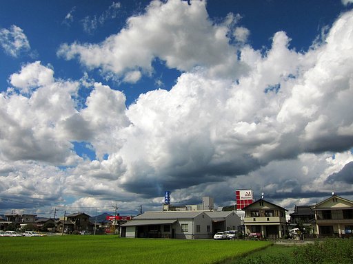 夏雲の秋