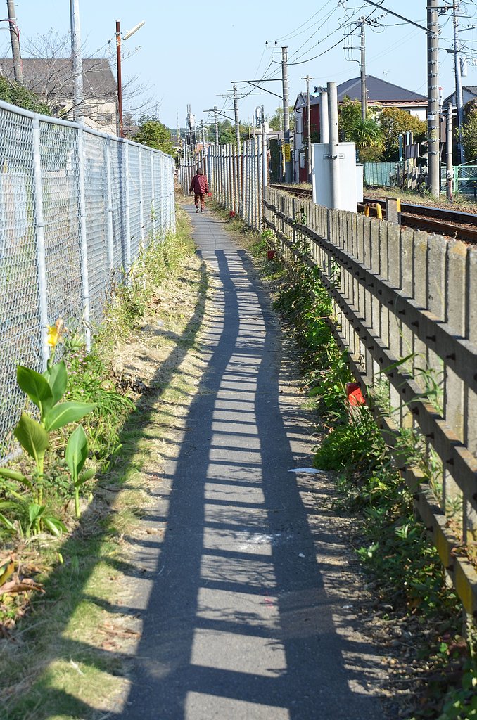 【影】　沿線の散歩道