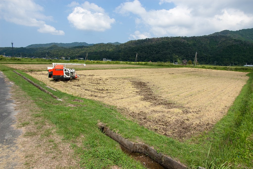 稲刈りが終わりました。