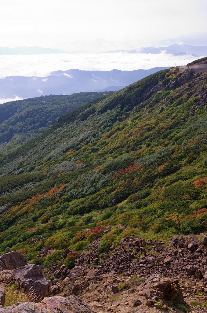 山の紅葉が始まりました