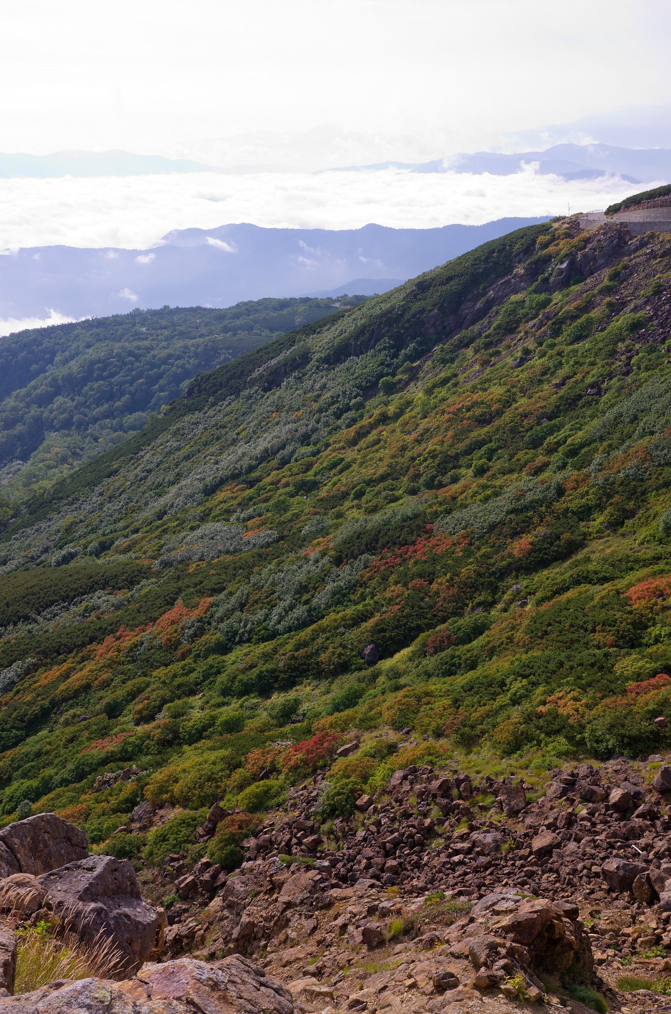 山の紅葉が始まりました