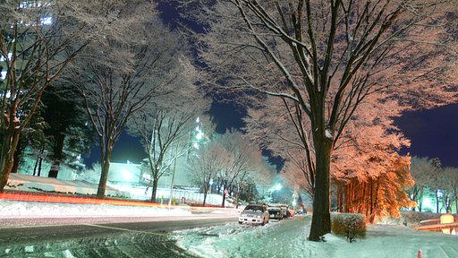 雪もそろそろ見納めかな？