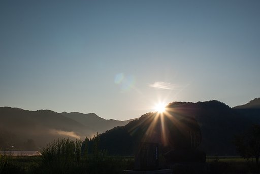 田舎の朝・・。