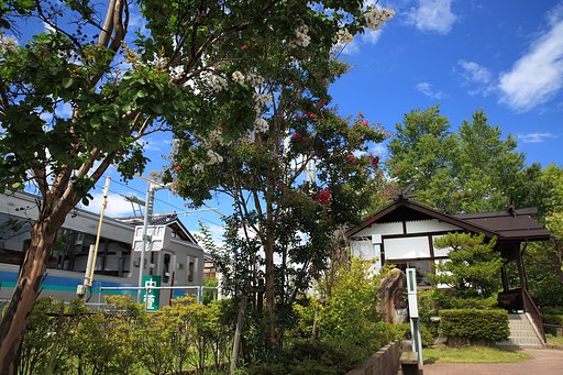 百日紅と中萱駅