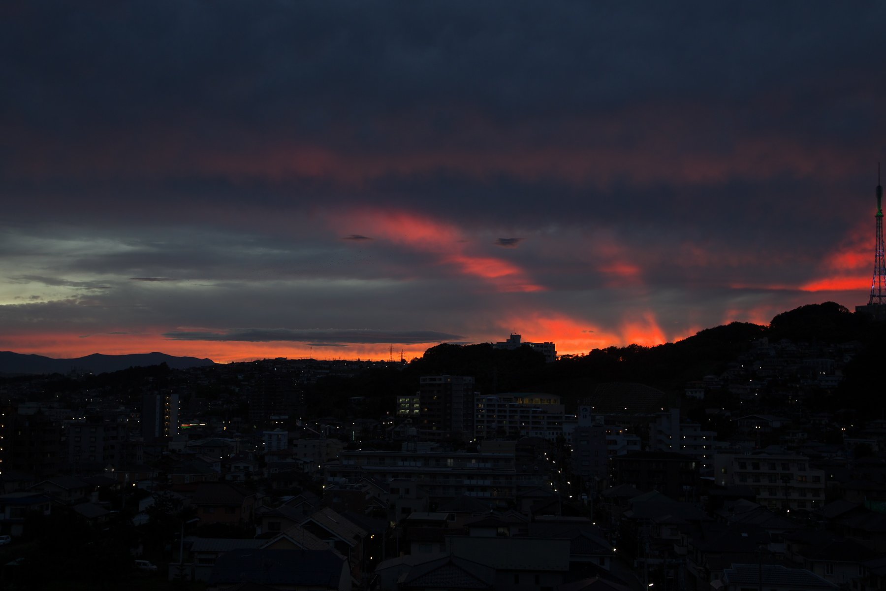 燃えるように