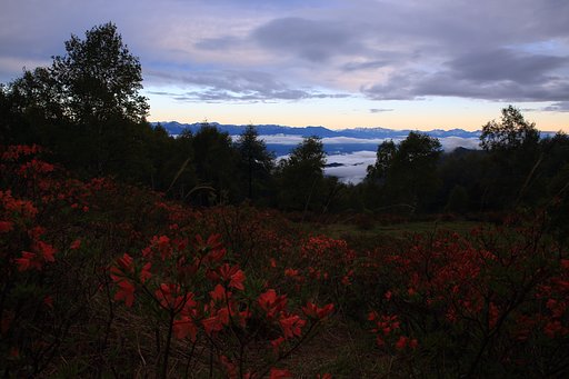 繚乱の雨あがり