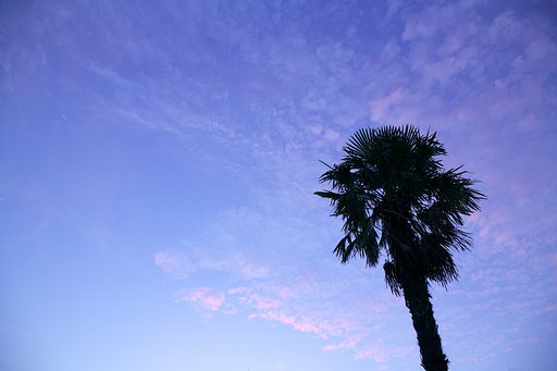 空