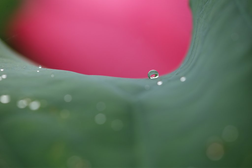 見つけた宝物