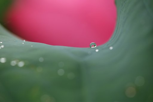 見つけた宝物