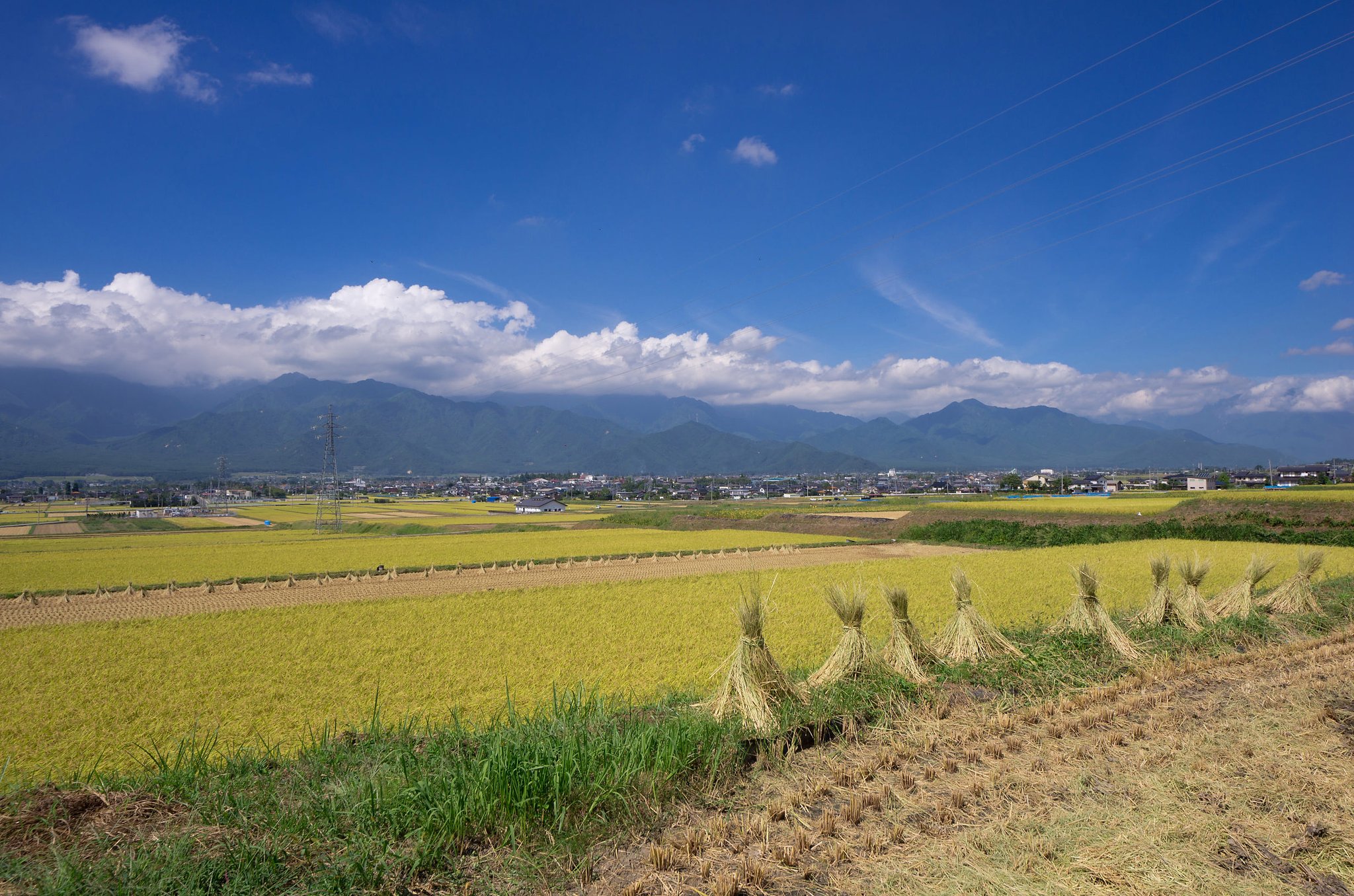 池田町にて