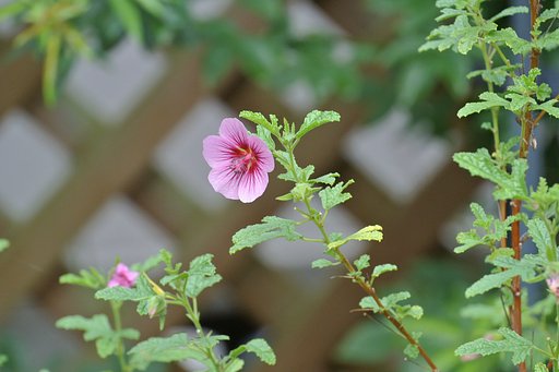 9月21日の写真