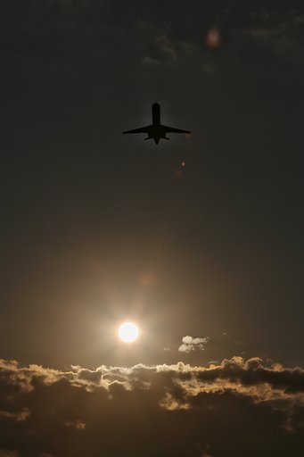 太陽を背にⅡ