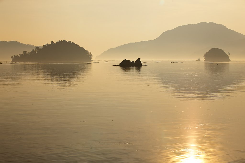 光る海