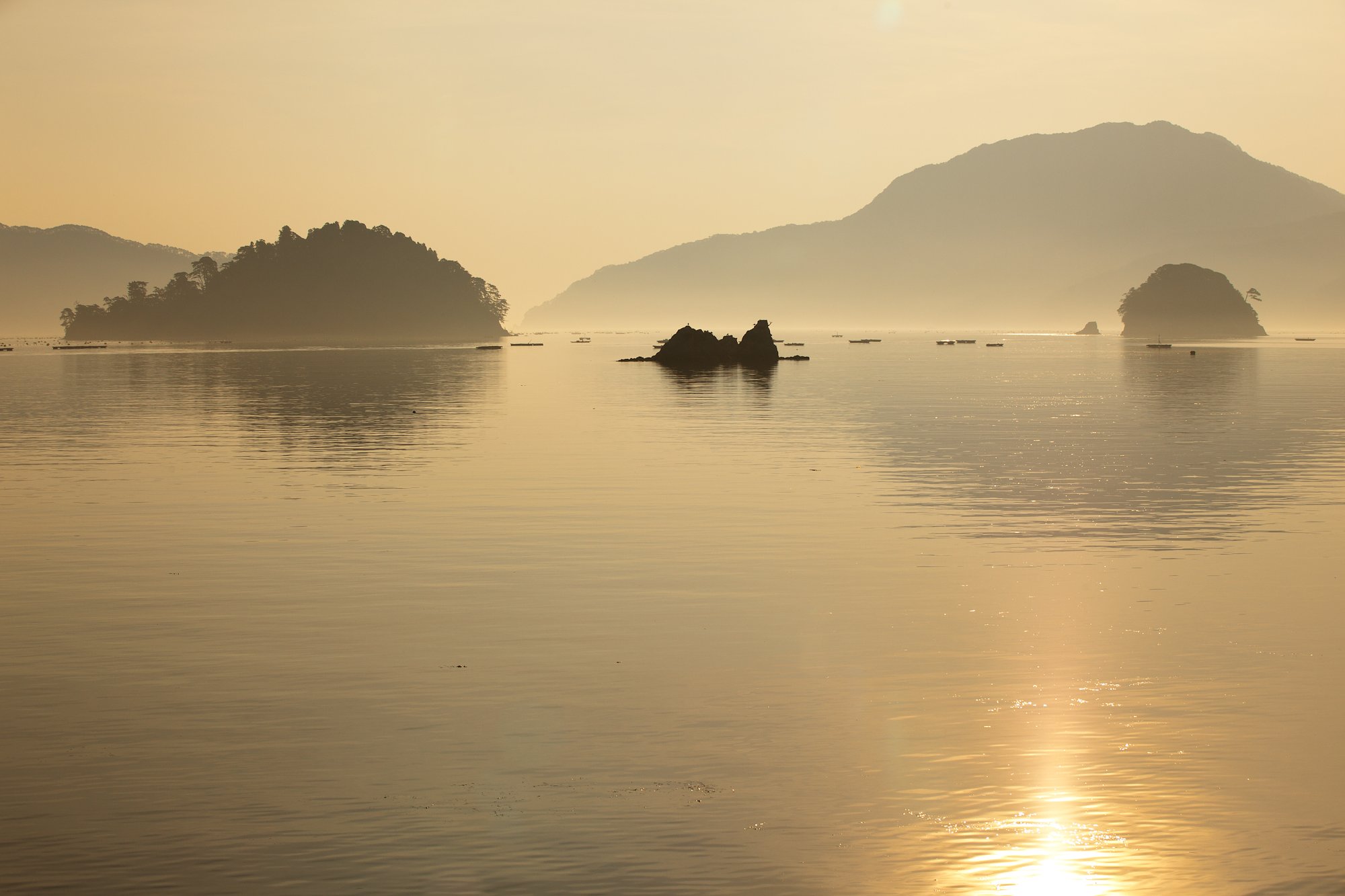 光る海