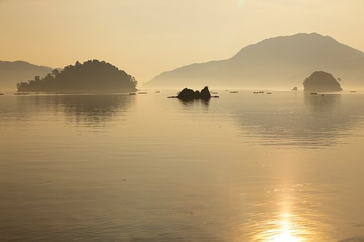 光る海