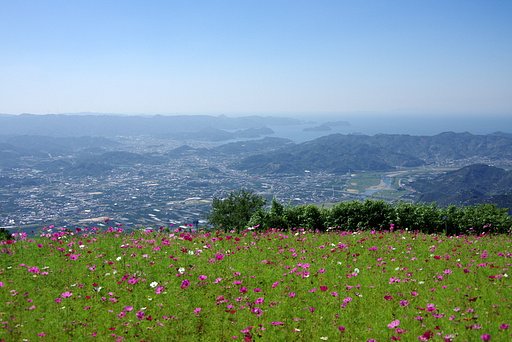 鷲ヶ峰コスモスパーク