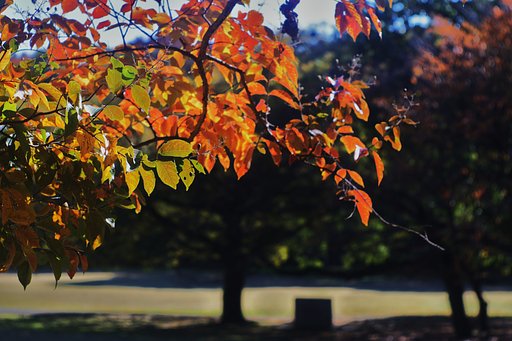 砧公園にて・・・