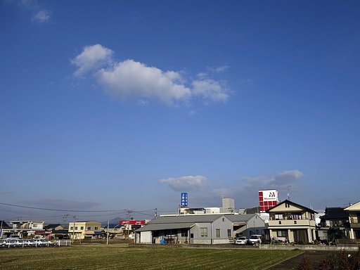 今日も快晴