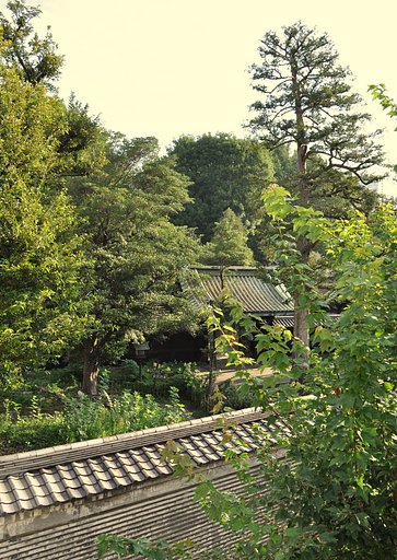 お茶の水の駅の風景