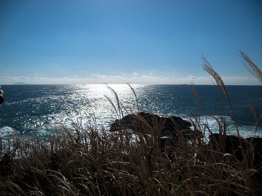 【風を感じて】風は海から