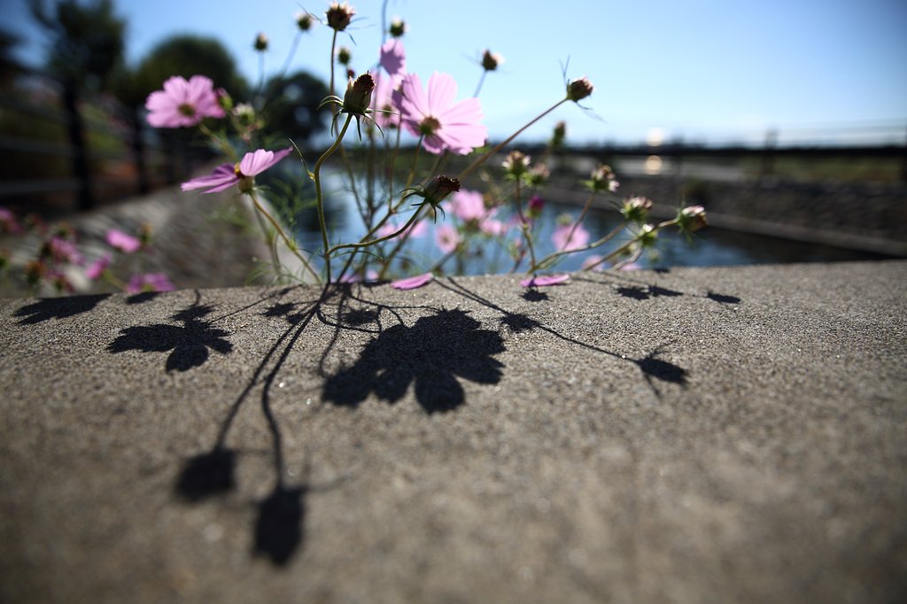 シンメトリー