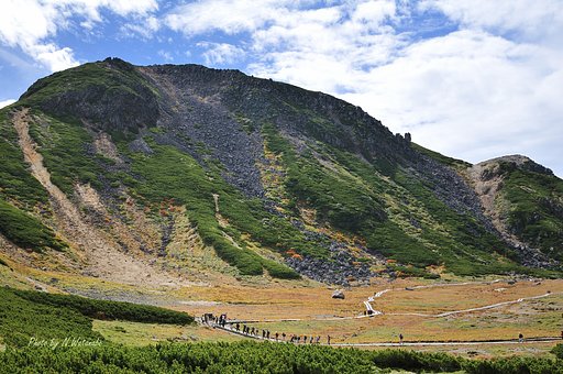 小さなアリさん達