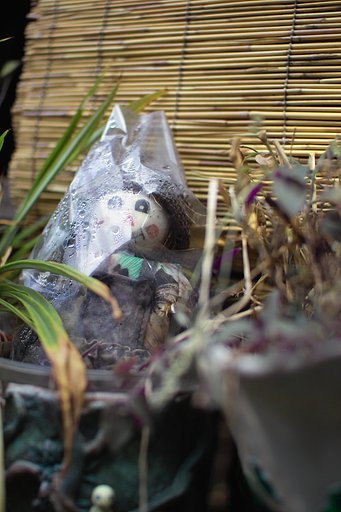 路地裏の秋