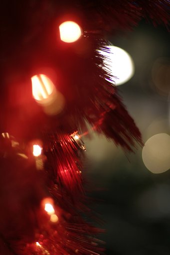 Merry　Christmas♪