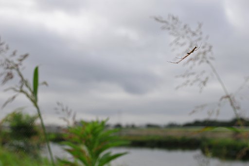 梅雨空