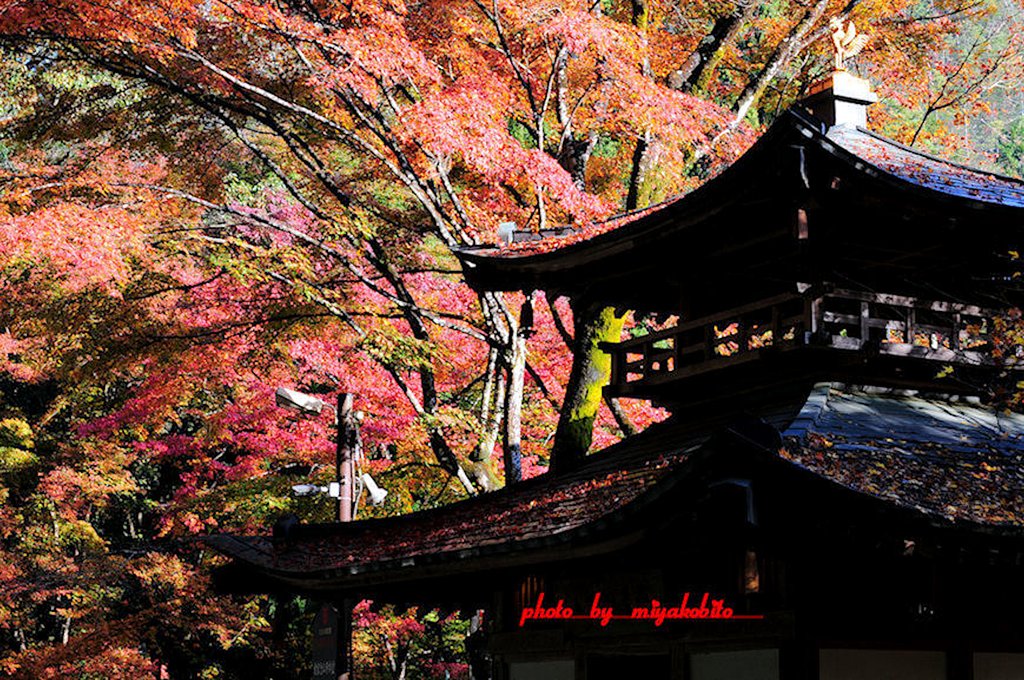 天台宗『愛宕念仏寺』
