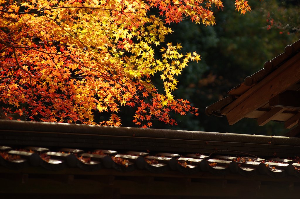 佛通寺