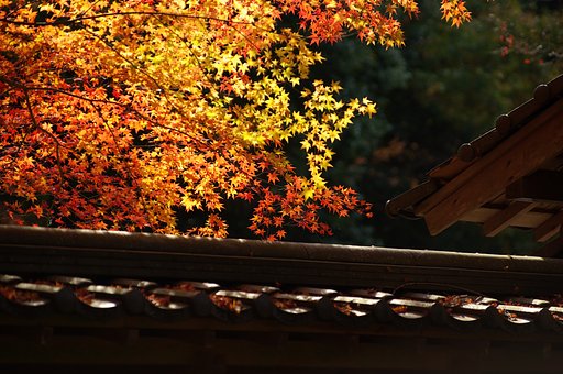 佛通寺