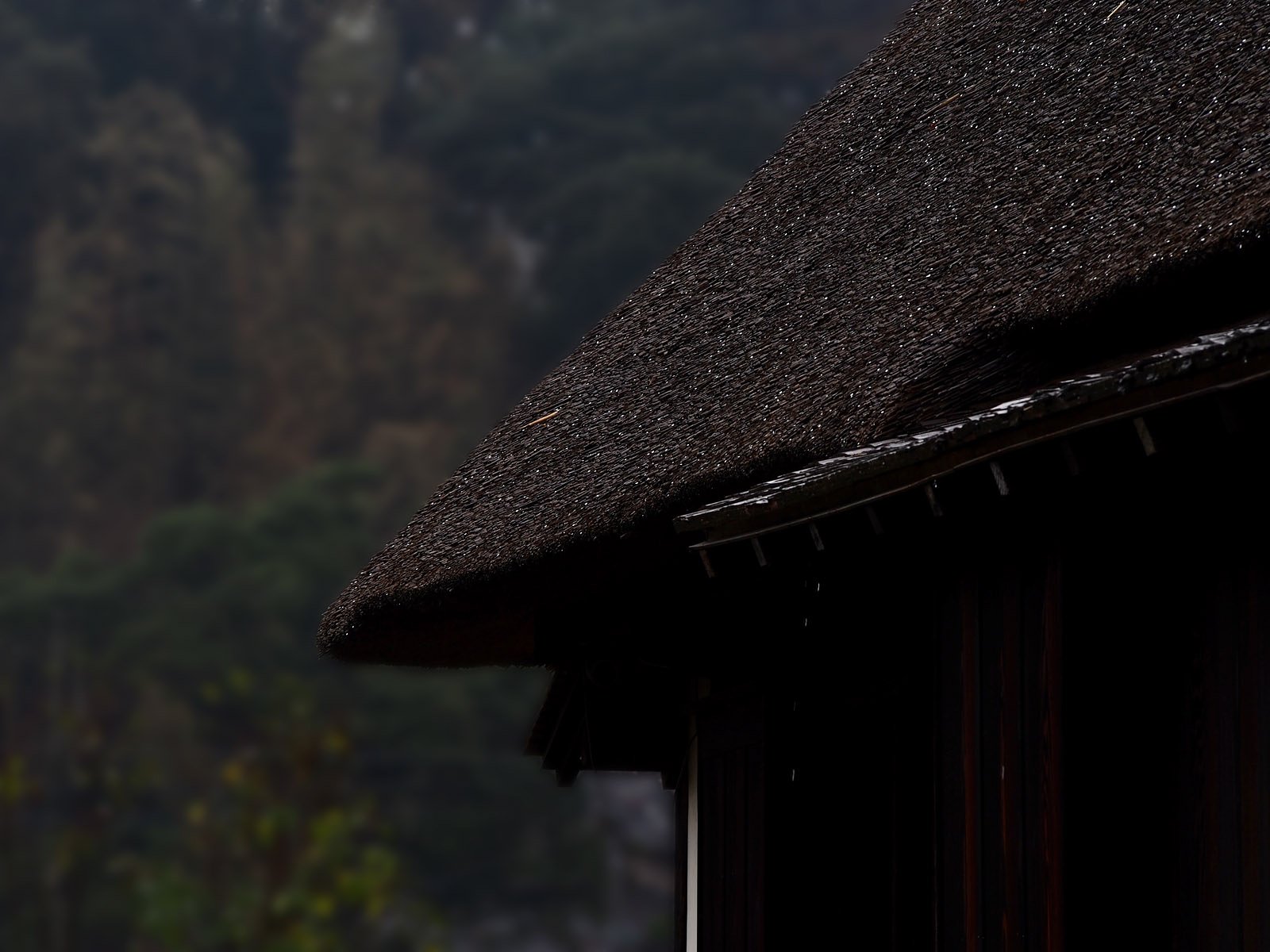 雨粒