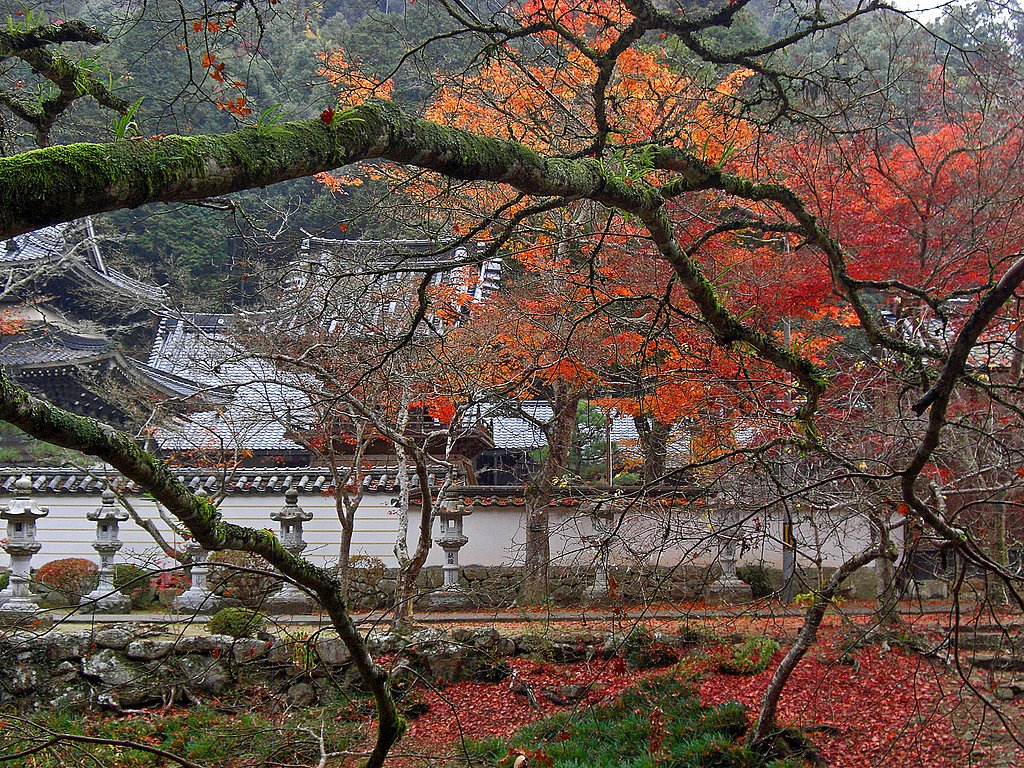 仏通寺の紅葉