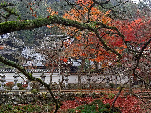 仏通寺の紅葉