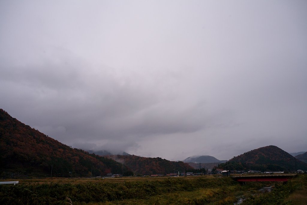 今日も雨降り。