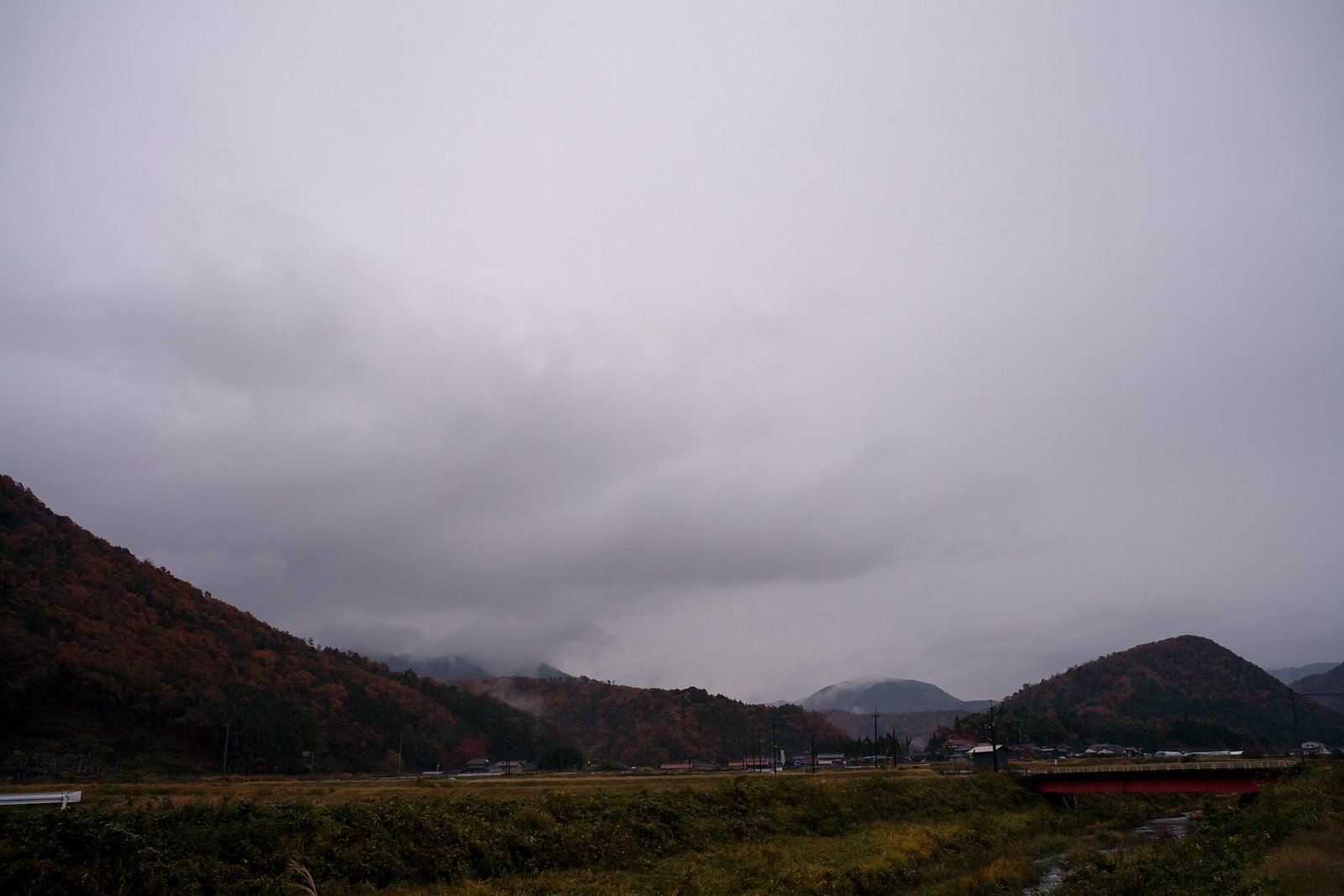 今日も雨降り。
