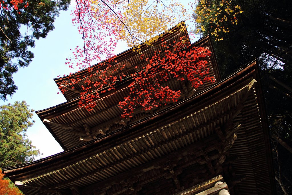 古寺再訪