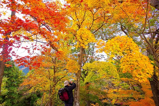 【街角（外れ）スナップ】紅葉を写す人