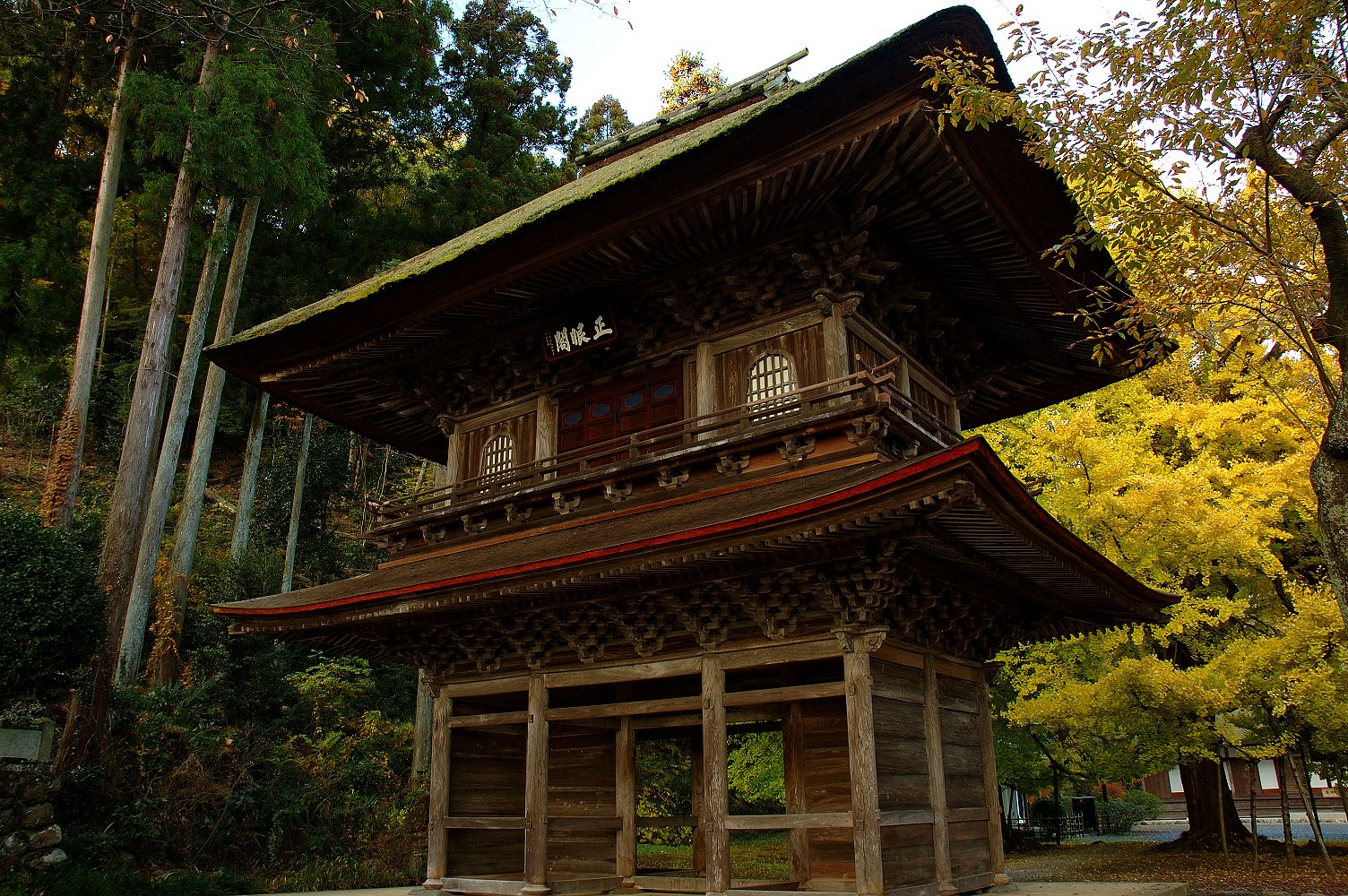 寺
