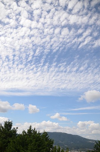 鰯雲