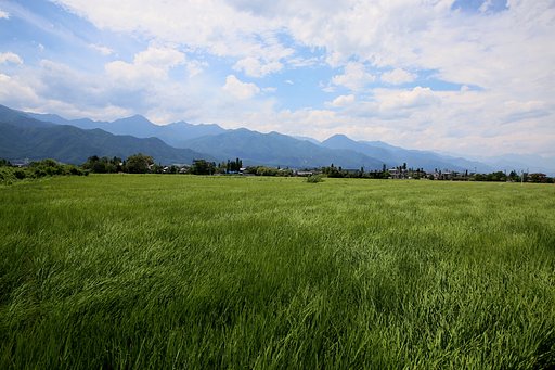 吹き渡って