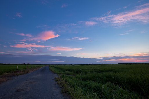 Ending Blue