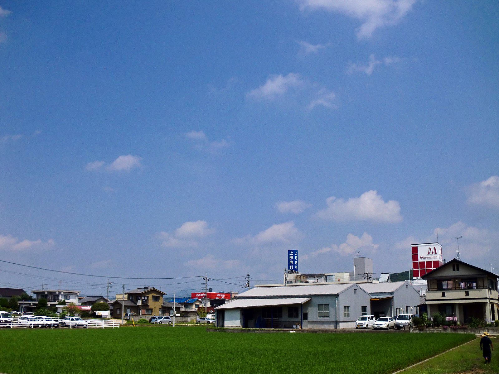 快晴の夏日に