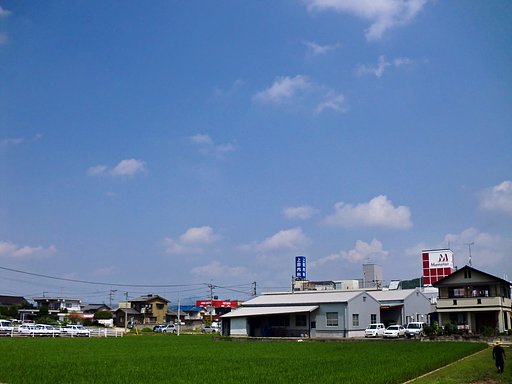 快晴の夏日に