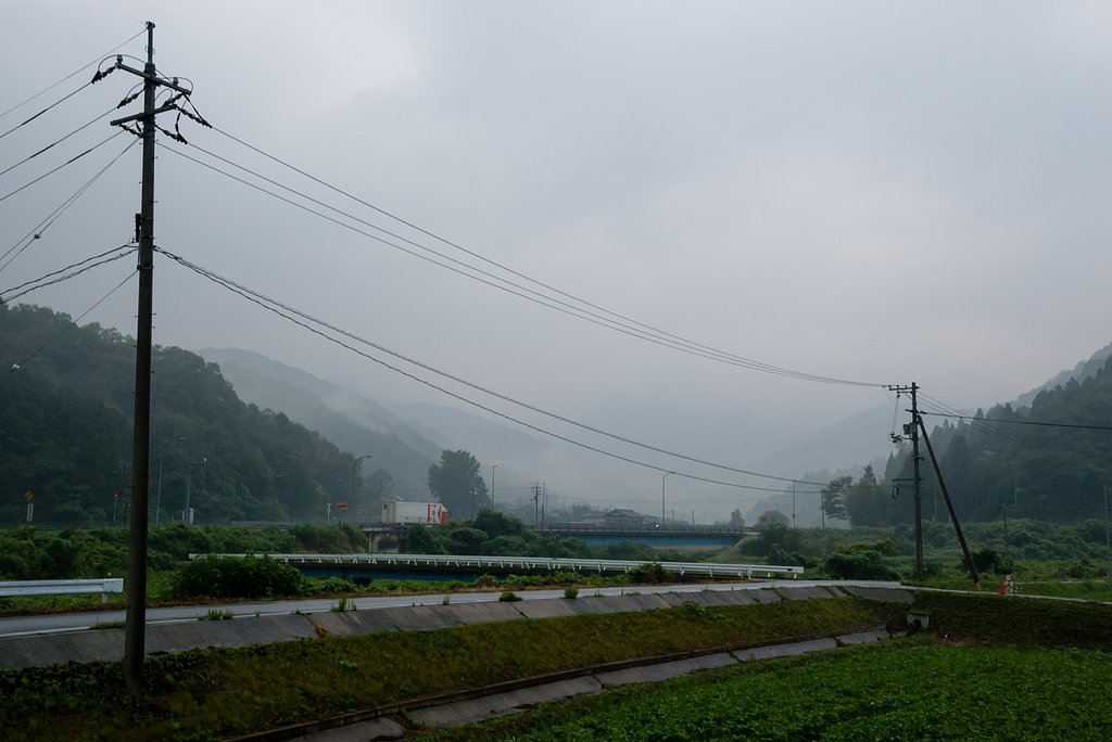 雨の朝・・。