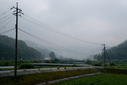 雨の朝・・。